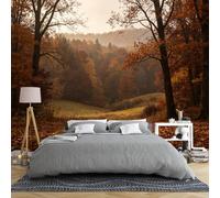 Murale Da Parete Con Paesaggio Naturale Autunnale Di Querce E Valle 300 × 210 Cm In Tessuto Non Tessuto 3D Panoramico Per Soggiorno Foresta Prato Natura Selvaggia Fotografia Decorazione Per La Casa