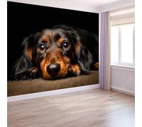Murales da Parete Premium 3D Fotografia Naturalistica Arte da Parete Straordinaria, Animali Simpatico Bassotto Carta da Parati Fotografica di Alta Qualità per Soggiorno e Camere da Letto 400 x 280 cm