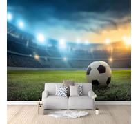 Murales da Parete Premium 3D Stile Sportivo Arte da Parete Straordinaria, Erba Del Campo Da Calcio Fotografia Di Calcio Carta da Parati Fotografica di Alta Qualità per Soggiorno e Camere 450 x 280 cm