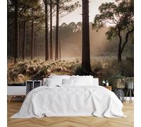 Murales di dimensioni personalizzate, foresta serena mattina presto tardo pomeriggio alberi di pino alti luce solare atmosfera nebbiosa, tessuto autoadesivo per rivestimento murale (senza PVC), carta