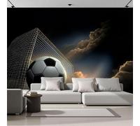 Muralo - Carta da parati 3D per cameretta dei bambini, in tessuto di seta, per ragazze e ragazzi,decorazione da parete,stile atletico Il Pallone È Incastrato Nella Rete., 250x175cm In bianco e nero