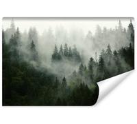 Muralo carta da parati fotografica in tessuto non tessuto con motivo foresta nella nebbia 210 x 315 cm decorazione da parete con alberi per soggiorno camera da letto moderna XXL paesaggio panoramico