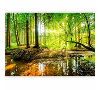 murando - Carta da parati 350x256 cm Fotomurali in TNT Murale alla moda Decorazione da Muro XXL Poster Gigante Design Carta per Pareti Soggiorno Bosco Foresta Natura Albero Verde c-B-0241-a-a