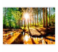 murando Carta da parati Bosco Foresta 500x350 cm Fotomurali in TNT Murale alla moda Decorazione da Muro XXL Poster Gigante Design Carta per Pareti Soggiorno Bosco Foresta Paesaggio c-B-0267-a-a