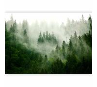murando - Carta da parati Foresta Nebbia 150x105 cm Fotomurali in TNT Murale alla moda Decorazione da Muro XXL Poster Gigante Design Cameretta Carta per Pareti Natura Paesaggio scandinavo c-B-0533-a-b