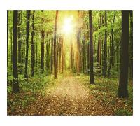 murando - Carta da Parati Impermeabile Bosco e Sole Sentiero 200x140 cm Fotomurali Lavabili per Bagno - Moderno Murales per Soggiorno Decorazione - Carta per Pareti Lavabile Decorativi c-B-0076-a-b
