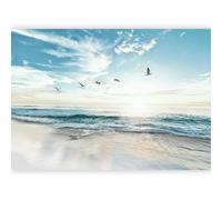 murando Carta da parati Mare Spiaggia 200x140 cm Fotomurali in TNT Murale alla moda Decorazione da Muro XXL Poster Gigante Design Cameretta Carta per pareti Ciel Uccelli Paesaggio Natura b-B-10023-a-a