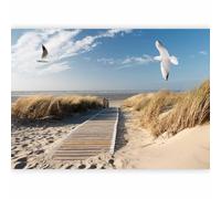 murando Carta da parati Mare Spiaggia 400x280 cm Fotomurali in TNT Murale alla moda Decorazione da Muro XXL Poster Gigante Design Cameretta Carta per pareti Mouettes Uccelli Paesaggio c-C-10027-a-a