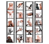 murando Carta da parati PURO 10 m senza ripetere il motivo Fotomurali in TNT Murale Decorazione da Muro XXL Poster Gigante Design Carta per pareti Animale Gatto Cane Cavallo g-C-0026-j-b