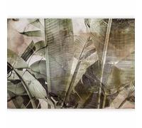 murando - Carta da parati tropicale Foglie 400x280 cm Fotomurali in TNT Murale alla moda Decorazione da Muro XXL Poster Gigante Design Carta per Pareti Pianta Giungla Natura come dipinto b-C-0776-a-a