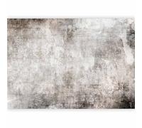 murando PREMIUM Carta da parati Effetto cemento 400x280 cm Fotomurali in TNT Murale alla moda Decorazione da Muro XXL Poster Gigante Design Carta per Pareti Soggiorno Pietra grigio a-A-10181-a-c