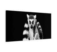 murando - Quadro con Cornice Naturale Lemure Misterioso Bianco e Nero 150x50 cm - Quadri Moderni per Soggiorno Grandi - Pannelli Decorativi per Pareti - Telaio in Legno - Stampa su Tela g-B-10086-b-b