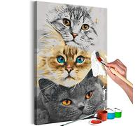 murando - Quadro da Dipingere con i Numeri Adulti Gatti Animali Viso Ritratto 40x50 cm Dipinto con Numeri su Tela - Paint by Numbers - Quadri Numerati Bambini - Kit Pittura - Regalo n-A-1308-d-a