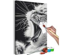 murando - Quadro da Dipingere con i Numeri Adulti Gatti Animali Viso Ritratto 40x50 cm Dipinto con Numeri su Tela - Paint by Numbers - Quadri Numerati Bambini - Kit Pittura - Regalo n-A-1424-d-a