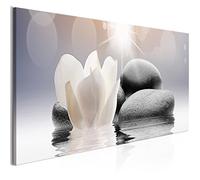 murando - Quadro Fiori Giglio 150x50 cm - 1 pezzo Stampa su Tela XXL Quadri Moderni Murale Moderno Grafica Decorazioni da Parete per il Soggiorno Floreale Pietre Beige Natura b-B-0268-b-a