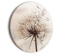 murando Quadro Rotondo Soffione 80x80 cm 1 Pezzo Stampa su Tela Strutturata XL Immagini moderni Murale Fotografia Grafica Decorazione da parete planta Fiori Natura b-B-0549-bc-a