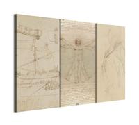 murando - Set di Quadri Moderni Grandi, Anatomia del Cavallo, 135x90 cm