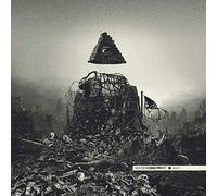 Murder Construct - Results