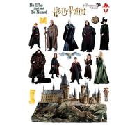 Muro & Mobili Adesivi Set Harry Potter 65x42.5 CM Hogwarts Vinile Decalcomania