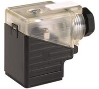 Murr Elektronik 7000-29001-0000000 Ventilstecker SVS Schwarz Transparent
