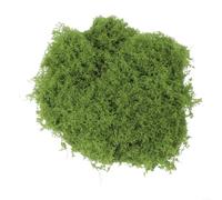 Muschio artificiale per artigianato e decorazione, migliora la creatività e l'aspetto realistico per tutti i progetti (50 g)