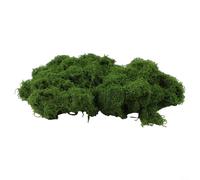 Muschio artificiale realistico, 500 g, per paesaggistica fai da te: pianta verde finta setosa, decorazione per bonsai, ghirlande, modellismo e fioriere da interni (verde scuro)