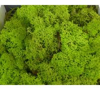 Muschio Finlandese In Scatola Gr 500 Decorazioni Composizione Floreale