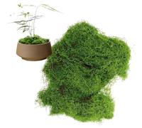 Muschio finto 200 g, muschio artificiale decorativo per decorazione pasquale, muschio finto muschio verde chiaro, piante di lichene verde finto per prato verde piante per acquario paesaggistica