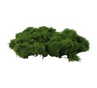 Muschio finto per fai da te artigianato e paesaggio migliora le tue idee di arre