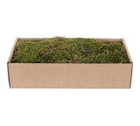 Muschio Piatto Essiccato 500 g Verde - Marrone