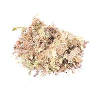 Muschio sfaagno naturale per piante 1 pack 100gsphagnum Mustino secco giardino idratante Fertilizzante organico nutrizionale per falaenopsis Orchid Musgo Sphagnum phalaenopsis Sphagnum Moss