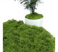 Muschio Stabilizzato Da 110g, Muschio Finto Per Decorazioni, Artificiale Ideale Per Fai Da Te, Perfetto Per Creare Atmosfere Naturali In Casa, Decorazioni Per Terrari E Giardini Verticali, Verde