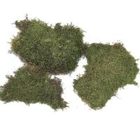 Muschio verde naturale per composizioni floreali, materiale vegetale decorativo, 500 g, 1 kg o 2 kg (1 kg)