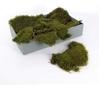 Muschio verde naturale per composizioni floreali, materiale vegetale decorativo, 500 g, 1 kg o 2 kg (2 kg)