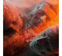 Muse - Will Of The People (Reissue) (CD)