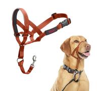 Museruola Company of Animals BURNT Arancio 3