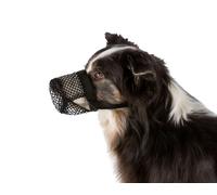 Museruola per cane taglia grande in nylon resistente contro bocconi avvelenati