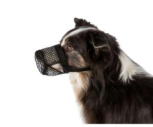 Museruola per cane taglia grande in nylon resistente contro bocconi avvelenati