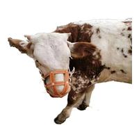 Museruola per pascolo del cavallo Museruole per cavalli Controllo eccesso di