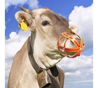 Museruola per pascolo del cavallo Museruole per cavalli Controllo eccesso di