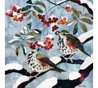 Museums and Galleries - Biglietti natalizi di beneficenza, confezione da 5, con design Redwings e Rowan, ecologici