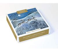 Museums & Galleries - Biglietti natalizi beneficenza (XETC221) - Confezione da 20 pezzi, modello Deep Midwinter