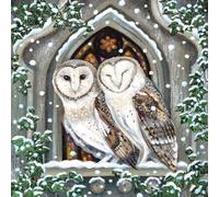 Museums & Galleries Lucy Grossmith Barbagianni in una finestra della chiesa, confezione multipla di biglietti di Natale per beneficenza, confezione da 8, a sostegno di Macmillan Cancer Support