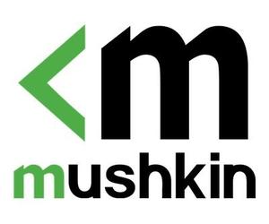 Mushkin MRA4S320NNNF32GX2 64 GB 2 x 32 GB DDR4 3200 MHz 260-pin SO-DIMM PC4-3200
