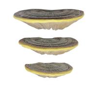 Mushroom Floating Shelves - 3-Piece Resin Wall Shelf Set | Simulation Mushroom Decor For Corner Wall Mount ,Rustic Storage Shelves For Figures, Plants, Photos ,Fairy Garden Inspired Floating Shelf