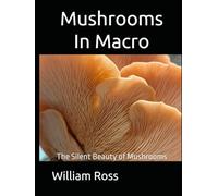 Mushrooms In Macro: The Silent Beauty of Mushrooms