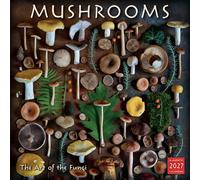 Mushrooms: The Art of the Fungi