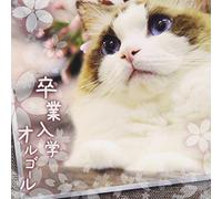 MUSIC BOX - SOTSUGYOU NYUUGAKU ORGEL - (OR