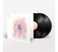 Hopkins,Jon - Music For Psychedelic Therapy
