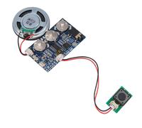 Musica Modulo 17 Minuti Suono Voce Audio per Auguri Selfmade Regalo